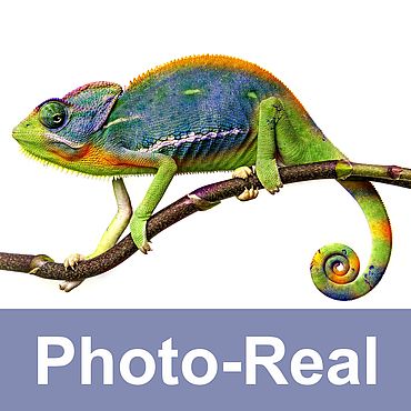 Photo-Real Colours
